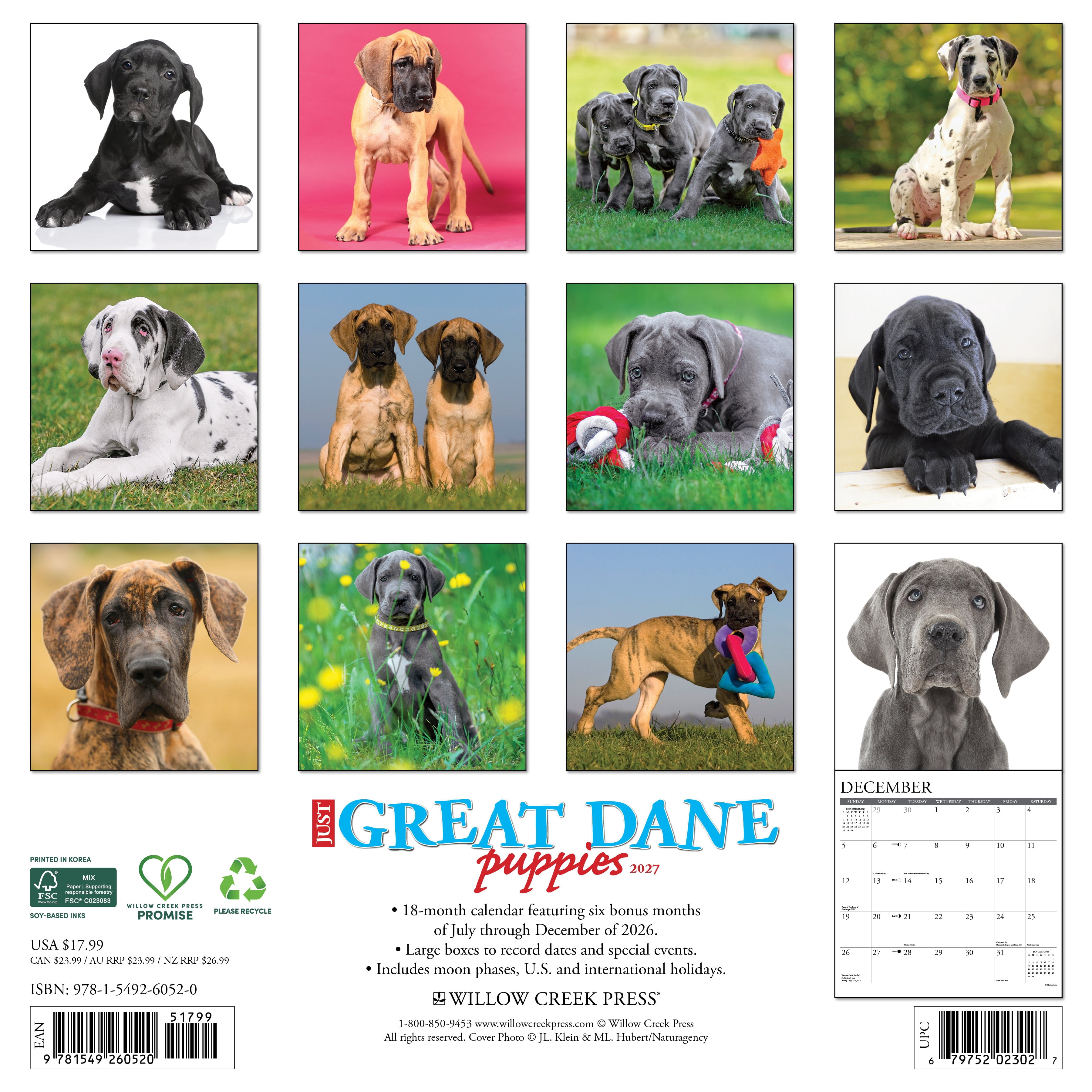 Willow Creek Press, Great Dane Puppies 2027 Wall Calendar