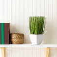 thumbnail image 6 of Vickerman 11.5" Artificial Green Potted Grass., 6 of 6