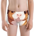 thumbnail image 5 of Yiaed Cartoon Guinea Pig Print Boys' Boxer Briefs Cotton Casual Stretch Comfort Boys Boxers - Kids Boxer Briefs Underwear for Boys (6-18)-X-Small, 5 of 5