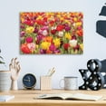 thumbnail image 3 of Epic Art 'Colorful Bouquet' by Martin Podt, Acrylic Glass Wall Art, 16"x12", 3 of 3