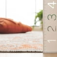 thumbnail image 5 of SAFAVIEH Arizona Phylliss Distressed Machine Washable Area Rug, Rust/Sage, 6' x 6' Round, 5 of 11