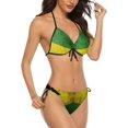 thumbnail image 2 of NICKSUN Women's Jamaica Flag Print Bikini Set, 2 Piece Swimsuits String Halter Triangle Bathing Suits, 2 of 6