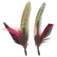 thumbnail image 3 of (2 pack) Pheasant Hackle Guinea Hat Trim 2pc-Champagne And Mint, 3 of 3