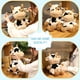 thumbnail image 4 of Lindo juguete de vaca de peluche, ganado de dibujos animados, animales de peluche, muñeco suave de ganado, juguetes para niños, regalo de cumpleaños, 4 of 8