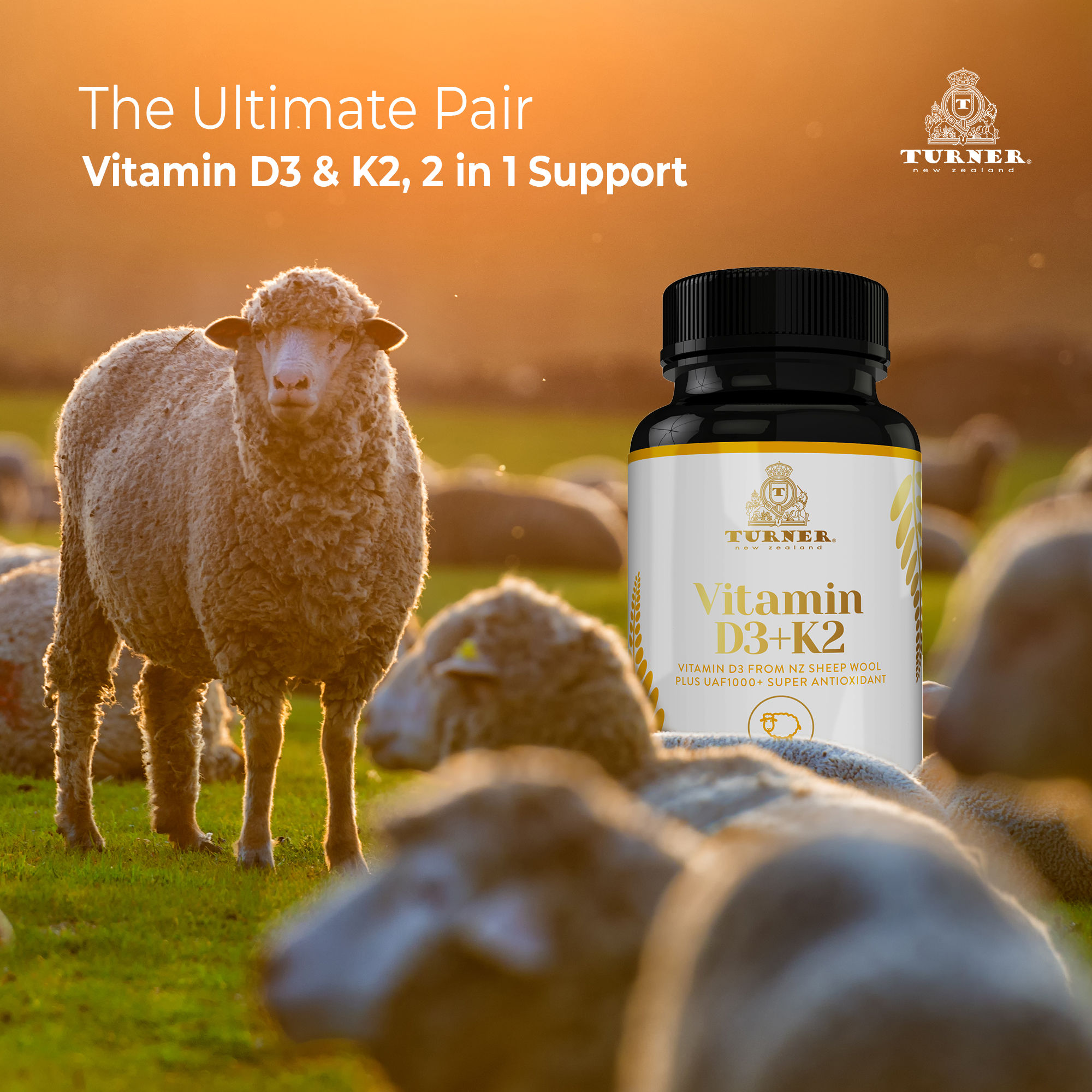 TURNER Grass-Fed Vitamin D3 and K2 Antioxidants Supplement, 60 Capsules