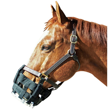 Best Friend Equine-Free-to-eat Cribbing Muzzle- Black