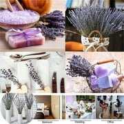 Dried Lavender Flower Bundle,200 Stems 16'' Preserved Lavender Bouquet,Dried Lavender,Dried Flower Bouquet for Home Decor,Vase,Crafts,Gift Wrap,Wedding