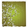 thumbnail image 2 of Ambesonne Japanese Shower Curtain, Sakura Bloom Spring Season, 69"Wx70"L, Pale Olive Green, 2 of 4