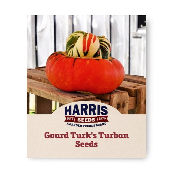 Harris Seeds Turk’s Turban Gourd, Ornamental Multicolor Pumpkin Type, 25 Count