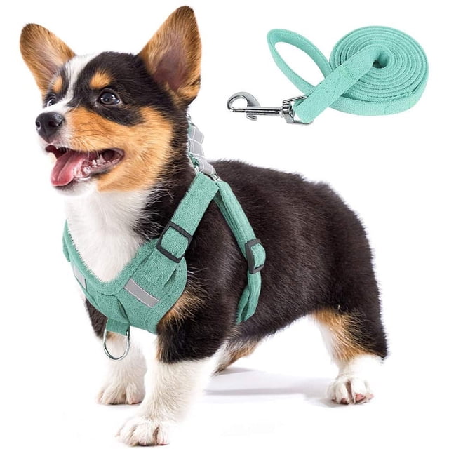 Dog Harness, Dog Harness Small Breed, Pet Harness with A Easy Control Leash, Easy Walk Pet Harness and No Choke Vest Harness for Medium or Small Breeds