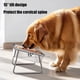 thumbnail image 5 of Comedero elevado de acero inoxidable con soporte para mascotas – Comedero antiderrame para perros y gatos de razas grandes – Plato elevado con soporte antideslizante para mascotas medianas y grandes, 5 of 6