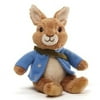 Peter Rabbit Beanbag Plush
