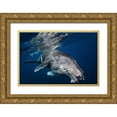 thumbnail image 1 of Gabriel, Barathieu 32x23 Gold Ornate Wood Framed with Double Matting Museum Art Print Titled - Humpback Whale, 1 of 4