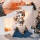 thumbnail image 4 of Mochila colgante para coche con diseño de gato mágico navideño, de acrílico, plana, para el interior del coche, llavero decorativo, 4 of 5