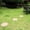 Beige hexagon, variant on Lumxatz Garden Stepping Stone Decorative Walkway Paver Non- Outdoor Path Stone with Ground Nails for Lawn Yard,Beige circle