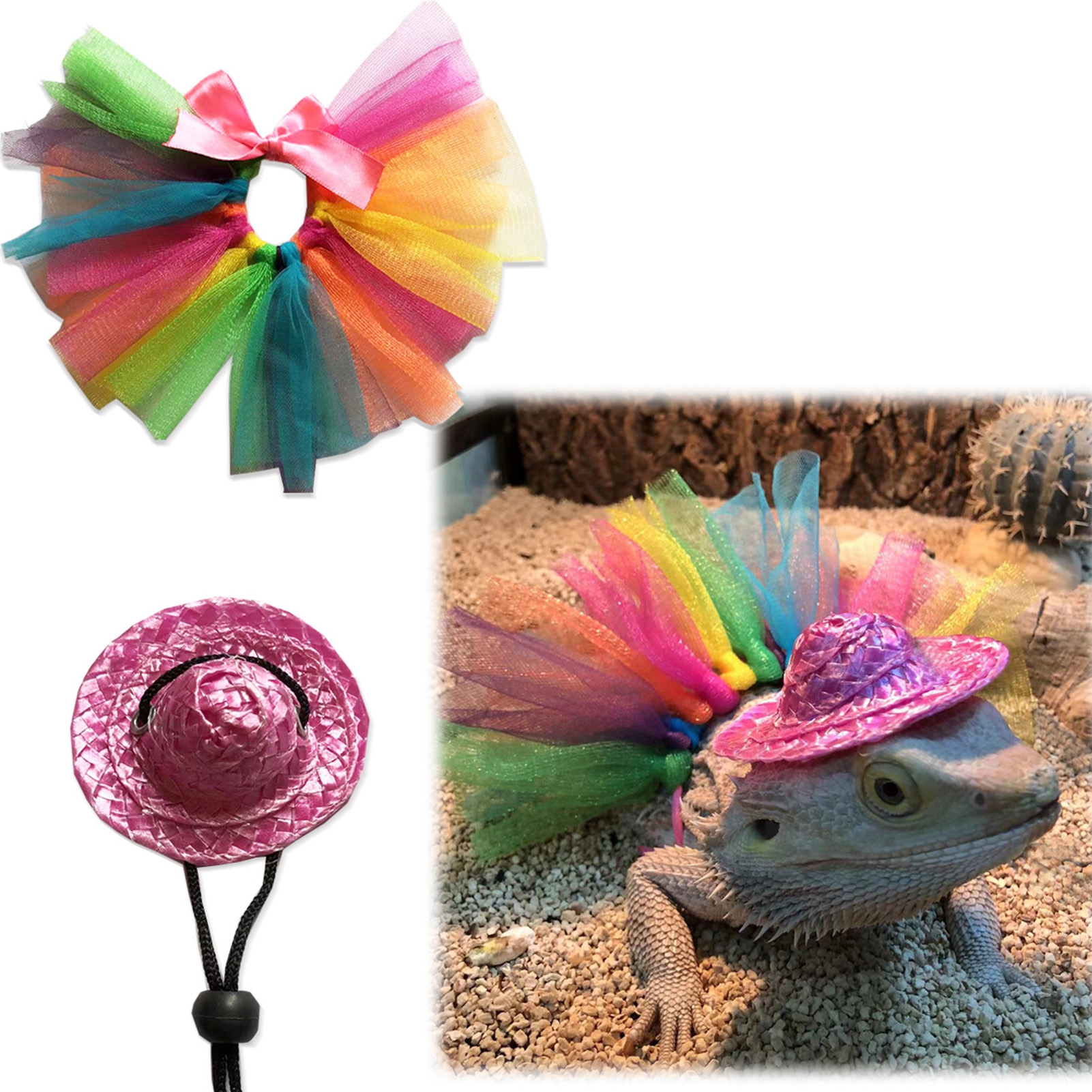 Bearded Dragon Costume Bearded Dragon Hat for Lizards Bearded Dragon