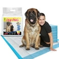 Tolobeve Dog Training Pads, XXL, 30 in x 36 in, 60 Count Disposable Dog