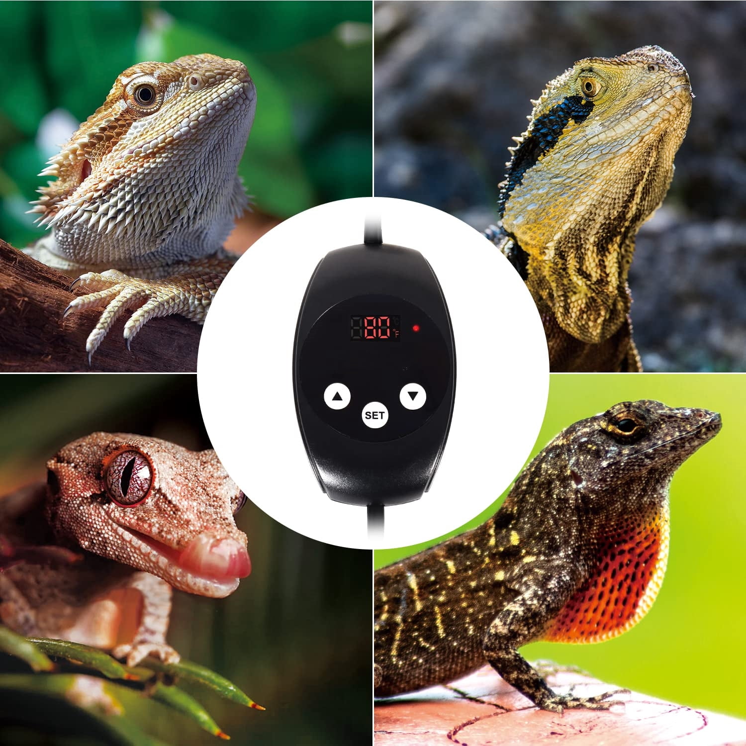LQCrafK Reptile Dimming Thermostat, Heat Lamp Temperature Controller, with LED Digital Screen