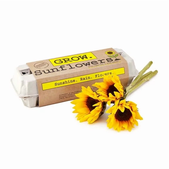 Harris Seeds Sunflower Grow Kit, Complete Garden Starter Kit for Planting Sunflowers
