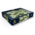 thumbnail image 3 of MyPuzzle - Edelweiss (Leontopodium) - Premium 500 Piece Jigsaw Puzzle for Adults, 3 of 6