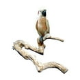 thumbnail image 2 of A and E Cage Co. Java Wood Multi-Branch Perch-Extra Large, 2 of 2
