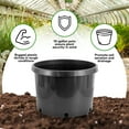Pro Cal 10 Gallon Premium Nursery Black Plastic Planter, 5 Pack for