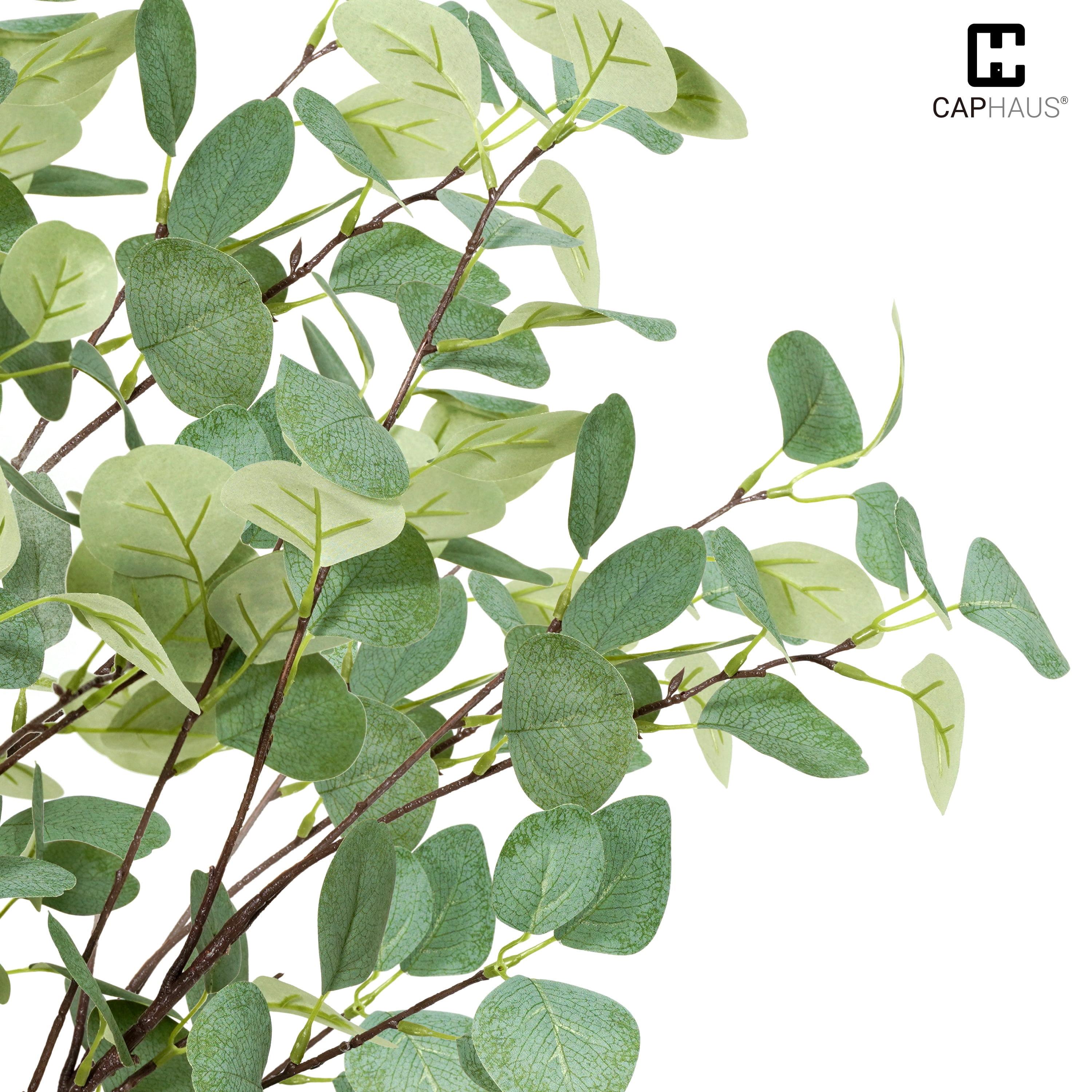 CAPHAUS 6 Feet, 72 Inch Artificial Eucalyptus Tree, Natural Large Faux Plants Indoor/Outdoor Patio, Home Décor, UV Resistant Artificial Outdoor Plants, Fake Greenery in Pot with Dried Moss