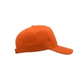 thumbnail image 4 of Atlantis Start 5 Panel Cap, 4 of 5