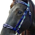 thumbnail image 4 of Horse Real Leather Headcollar Halter Equestrian Competition Riding^ O7C8, 4 of 9