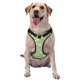 thumbnail image 1 of Balery Cute Frog2 Arnés para Perros Grandes Antitirones, Arnés con Correa para Gato, Arnés Tipo Chaleco para Perros Pequeños-X-Large, 1 of 6