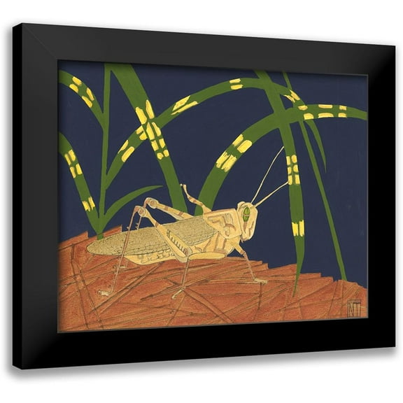 Tenser, Nina 14x12 Black Modern Framed Museum Art Print Titled - Ornamental Grasshopper I