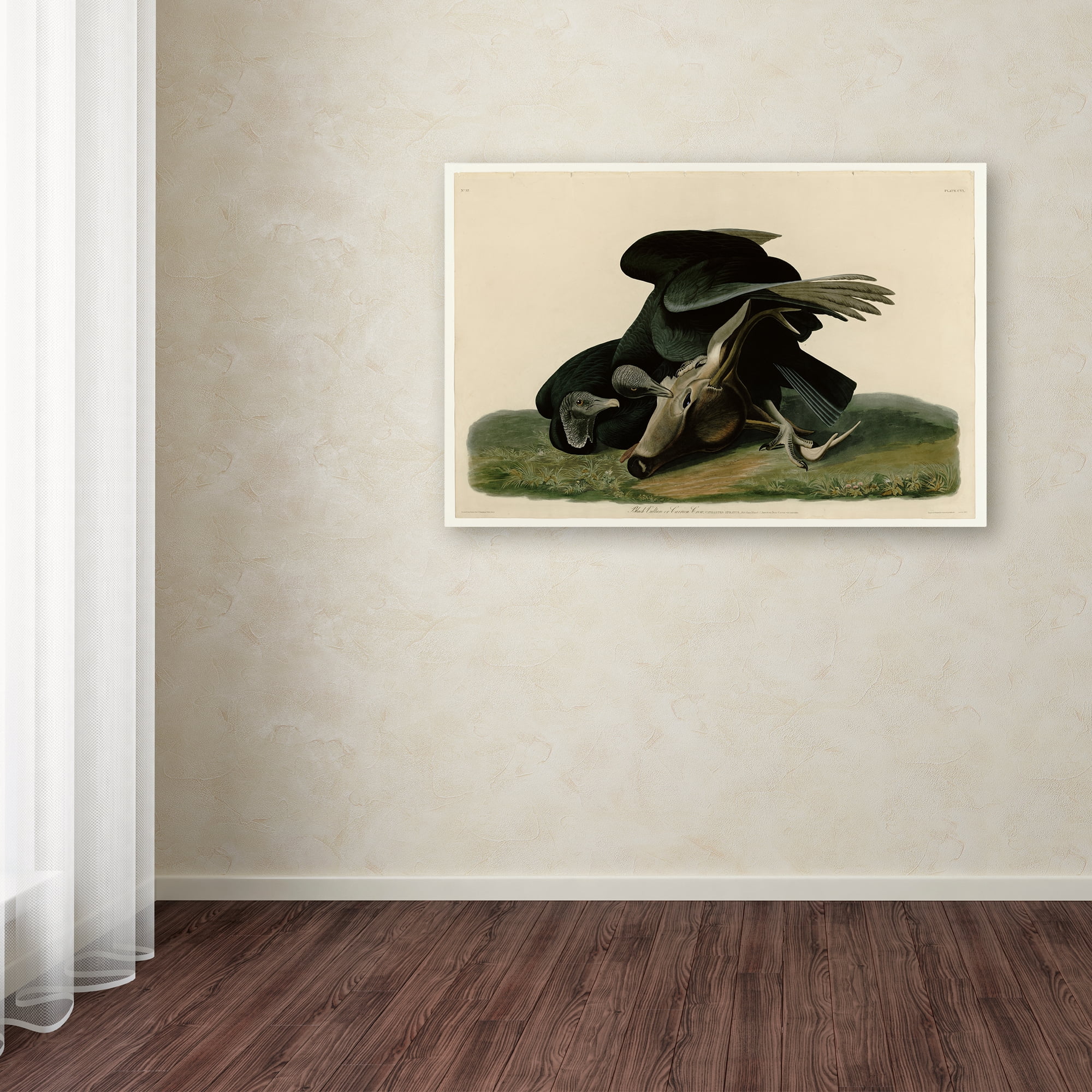 Audubon 'Black Vultureplate 106' Canvas Art