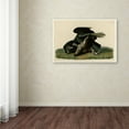 thumbnail image 3 of Audubon 'Black Vultureplate 106' Canvas Art, 3 of 3