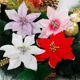 thumbnail image 5 of 50/10 piezas de flores artificiales de Navidad con purpurina dorada y roja, guirnalda de flores falsas para árbol de Navidad, adornos para fiesta de Año Nuevo, decoración del hogar, 5 of 5