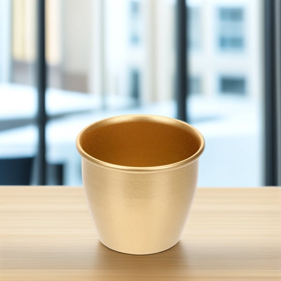 BESTYASH Pot de Plante Moderne Pot de Fleurs Plantes d'Intérieur Jardinière en Fer Doré Lot de 1
