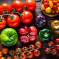 thumbnail image 6 of The Old Farmer's Almanac Organic Tomato & Vegetable Plant Food, 8-4-8 Granular Fertilizer 2.25 lb, 6 of 8