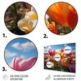 thumbnail image 3 of Designart "Tulips landscapes Of Color IV" Floral Metal Wall Art Prints, 3 of 5