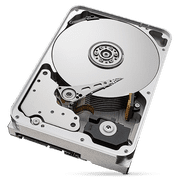 Seagate Skyhawk AI SATA III 3.5 Internal Hard Drive - 16TB, Single, 512MB Cache