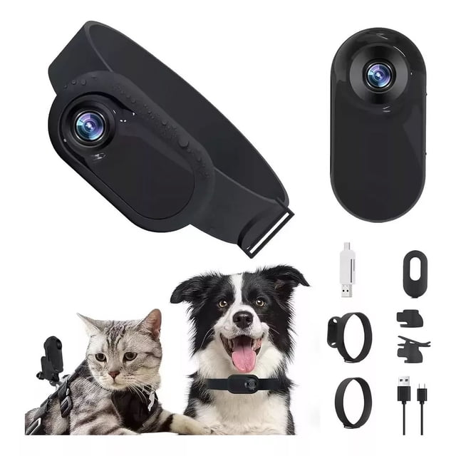Cámara Hd 1080p De 1 Unidad Con Collar Para Perros Y Gatos