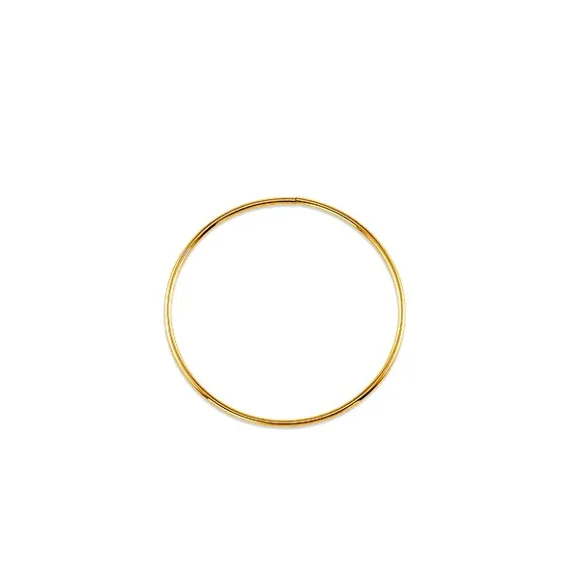 Large Dainty Hoops