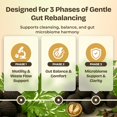 thumbnail image 3 of Suplemento Serene Herbs Paraclara Detox Intestinal 60 Cápsulas, 3 of 7