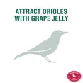 thumbnail image 2 of Comedero para pájaros Perky-Pet 253 Wild Oriole Jelly, capacidad de 960 ml, 2 of 9