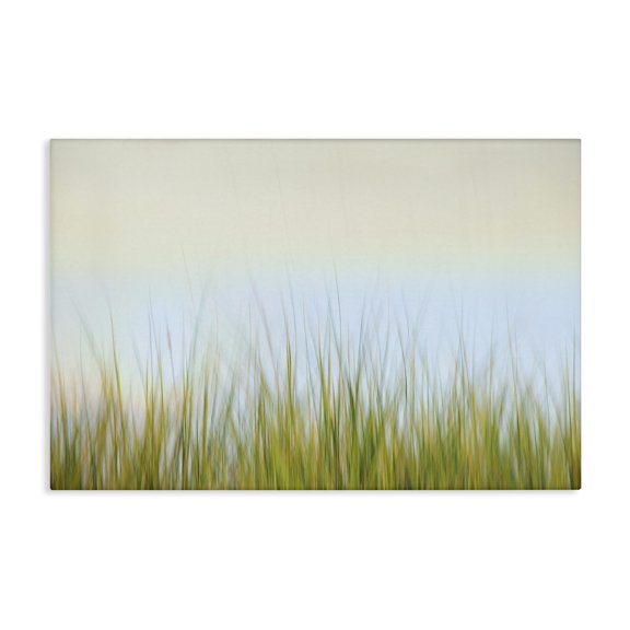 Stupell Industries Contemporary Scenic Whispers of Land Canvas Art, 24 x 16, by Karin Connolly