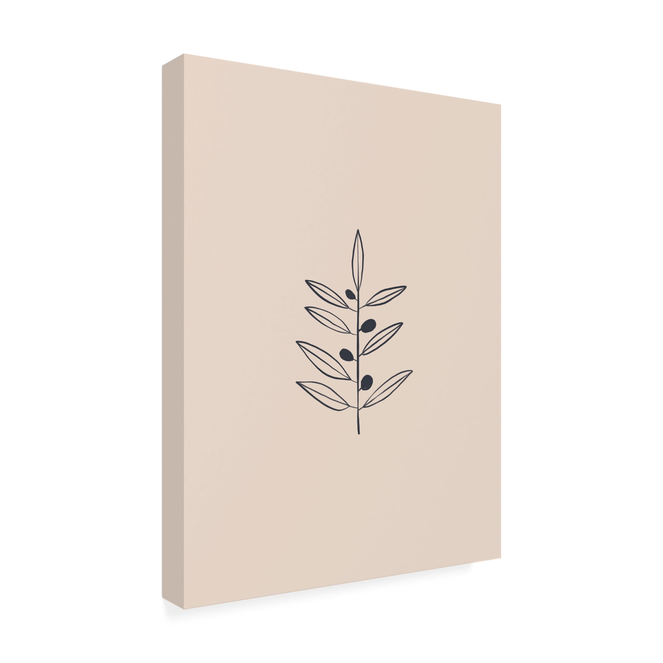 Trademark Fine Art Ivy Green Illustrations Olive Branche Canvas Wall Art