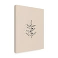 thumbnail image 4 of Trademark Fine Art Ivy Green Illustrations Olive Branche Canvas Wall Art, 4 of 4