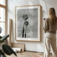 thumbnail image 2 of Palms Black and White - Visalia California Photography Palm Tree Black and White Minimalist Tropical Nature Vintage Coastal Oak Framed Wall Art Print 12 x 18 inches, 2 of 15