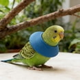 thumbnail image 4 of Bird Collar Parrot And Pull Recycling Collar Bird Neck Suitable For Small And Medium Sized Parrots Bugrig Parrot Bird Parrot, 4 of 4