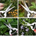 thumbnail image 5 of Professionall Pruning Scissors, Stainless Steel Garden Secateurs & Pruning Scissors Small(7.87inch) - RIpj, 5 of 5