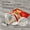 red, variant on Cat Tunnel Toy Interactive Collapsible Drill Bag with Plush Ball Pet Toy for Cats