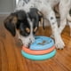 thumbnail image 5 of Juego interactivo de rompecabezas para perros y alimentador lento Outward Hound, 5 of 6